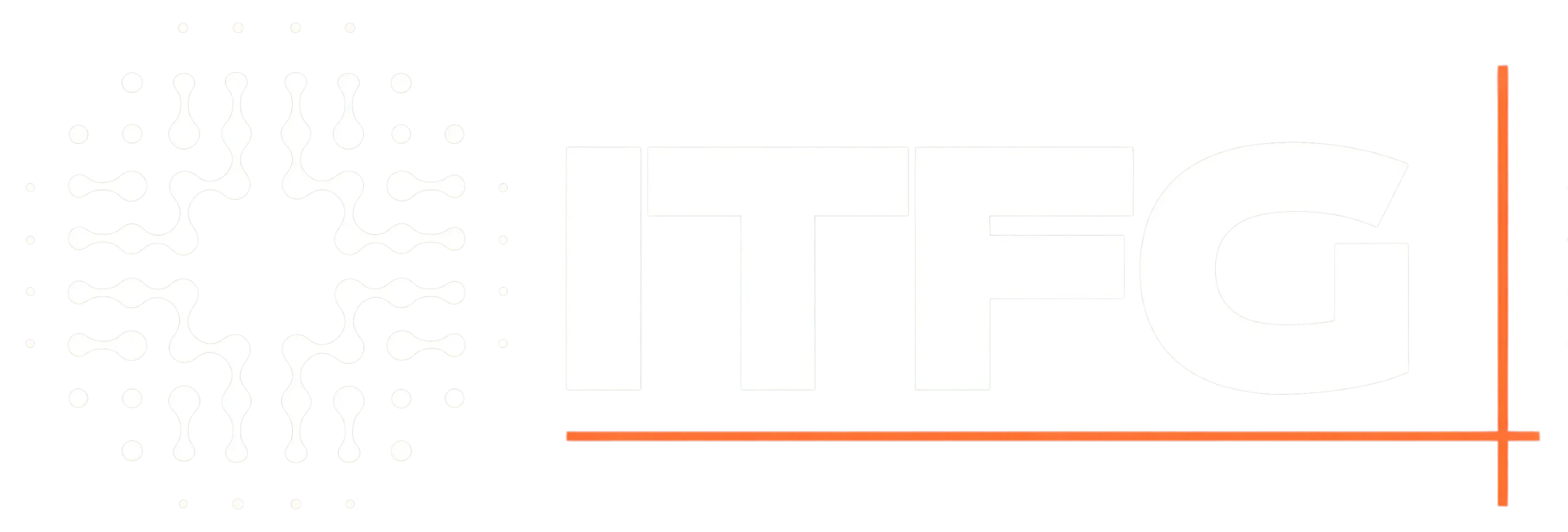 itfg.eu